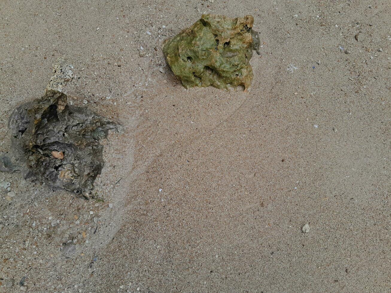 corallo pietra su il riva a est Giava spiaggia foto