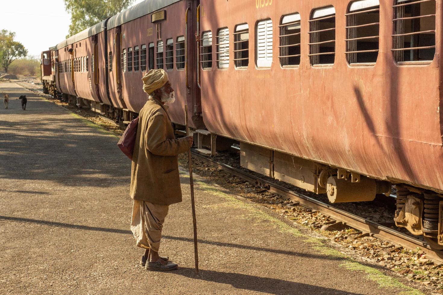 scenario ferroviario del Rajasthan foto