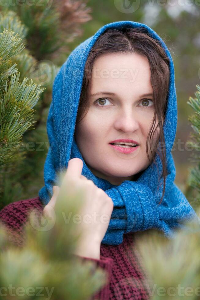 ritratto di brunetta in piedi nel pino foresta. donna vestito nel Marrone Maglione, blu sciarpa gettato al di sopra di testa foto