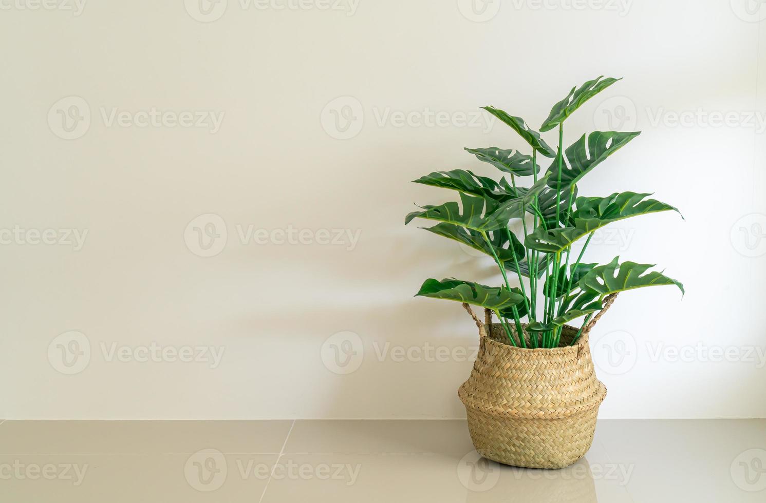 monstera in vaso cesto di vimini con parete foto