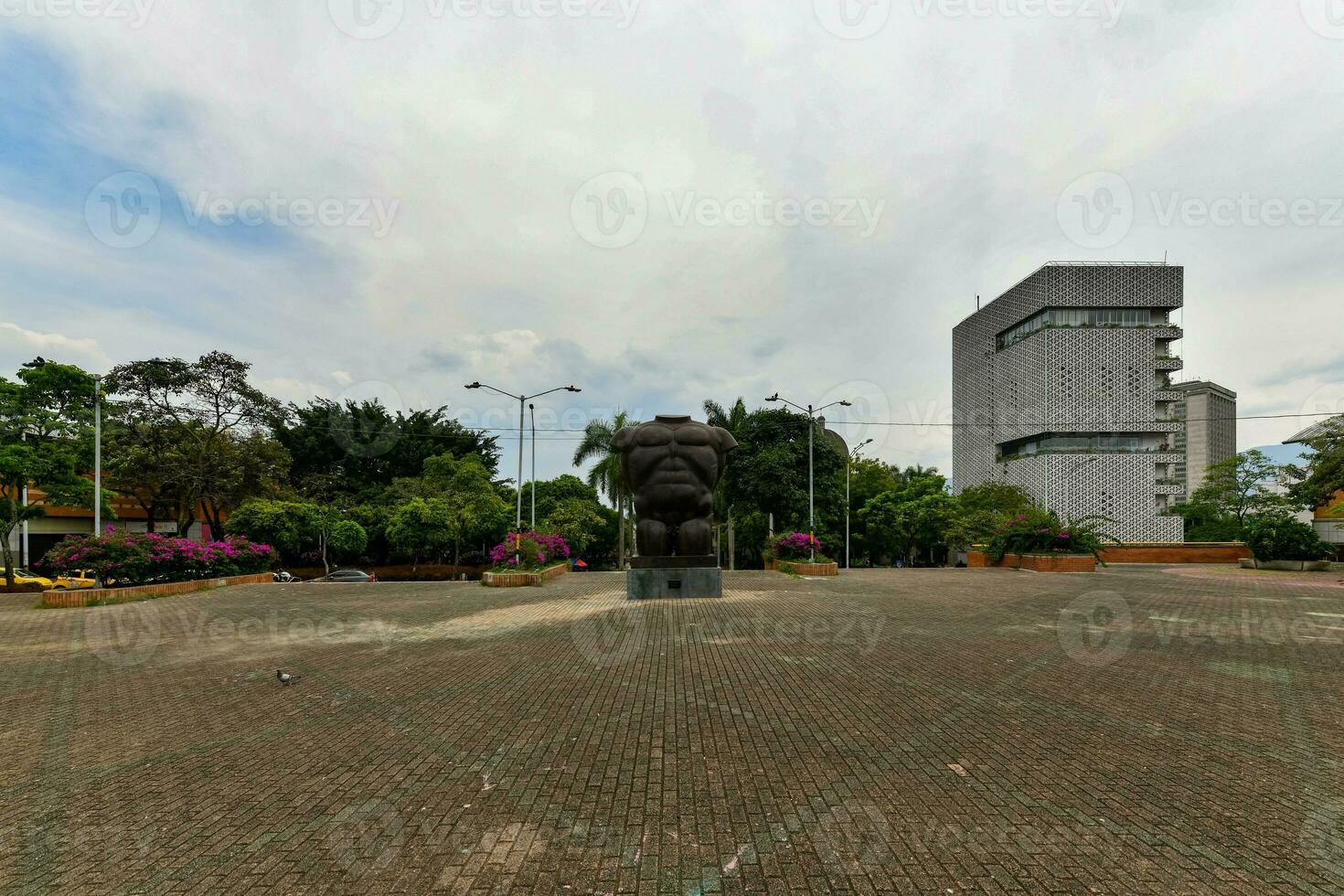 maschio torso - san antonio parco foto