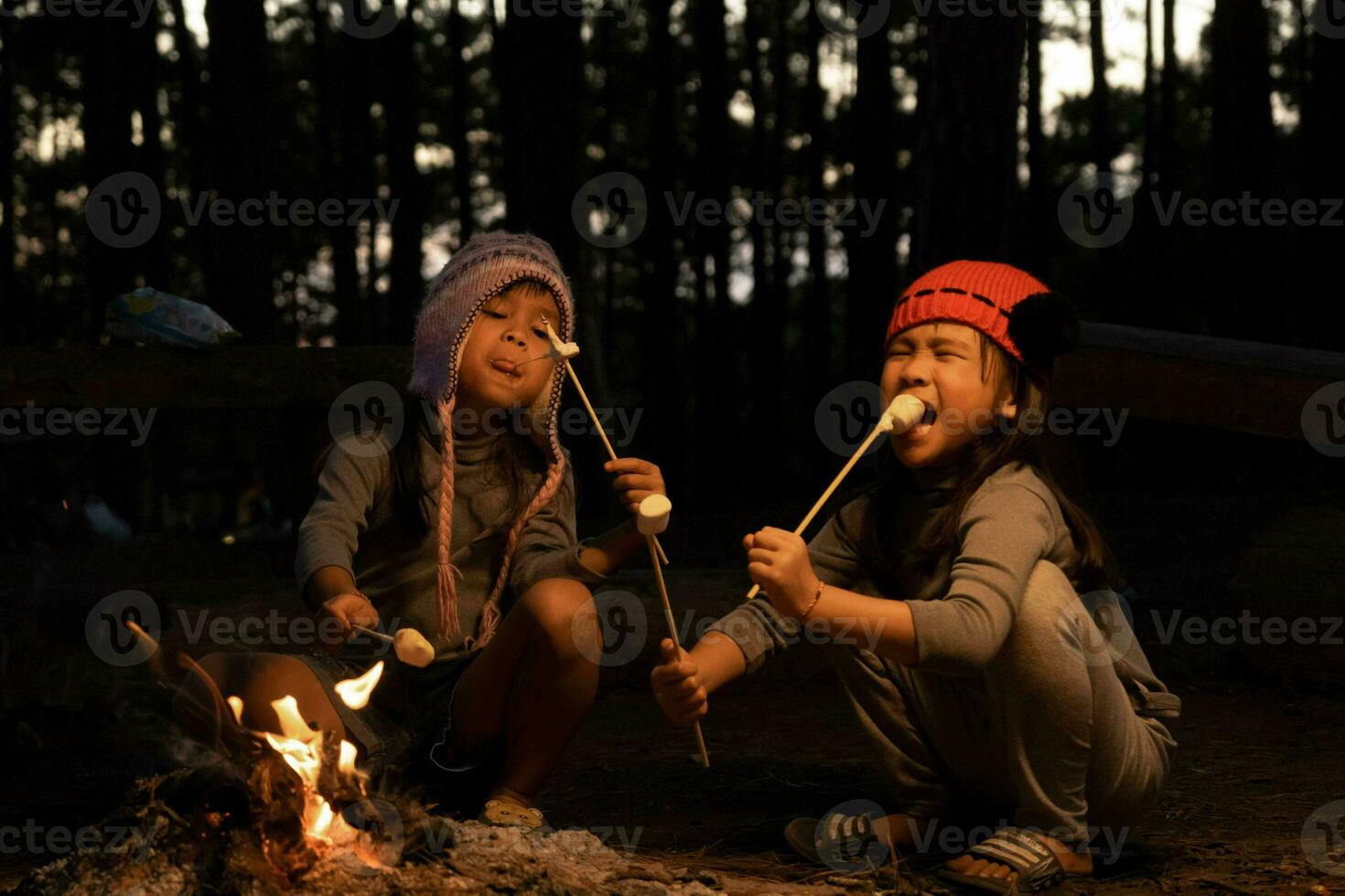 carino poco sorelle torrefazione marshmallows su falò. bambini avendo divertimento a campo fuoco. campeggio con bambini nel inverno pino foresta. contento famiglia su vacanza nel natura. foto