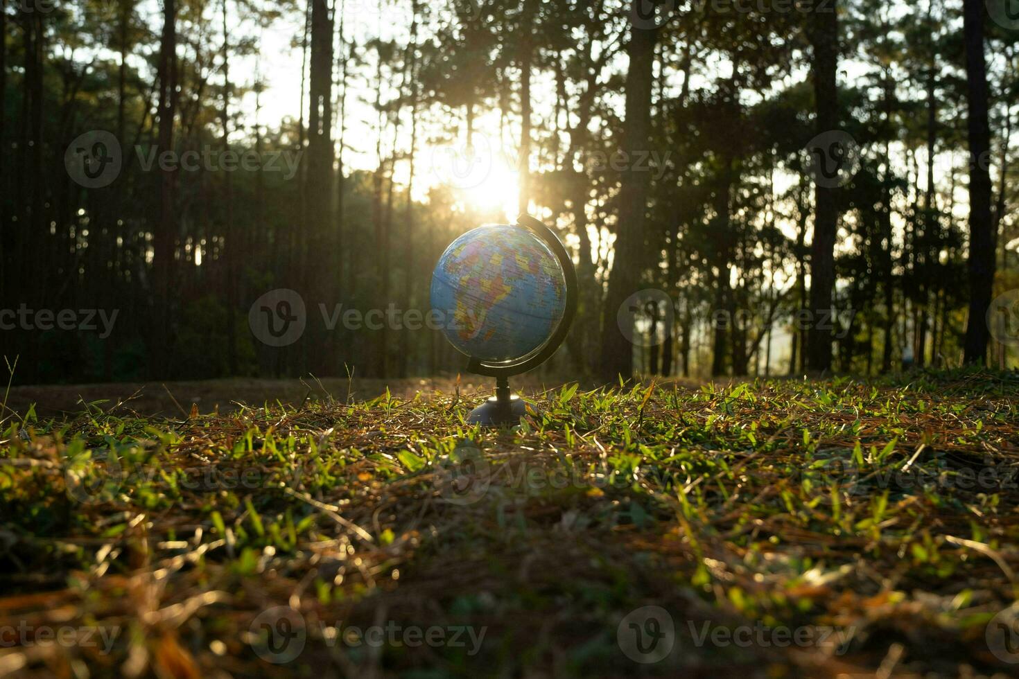 globo sfera modello su erba contro naturale sfondo e caldo luce del sole nel parco. terra giorno. mondo ambiente giorno. foto