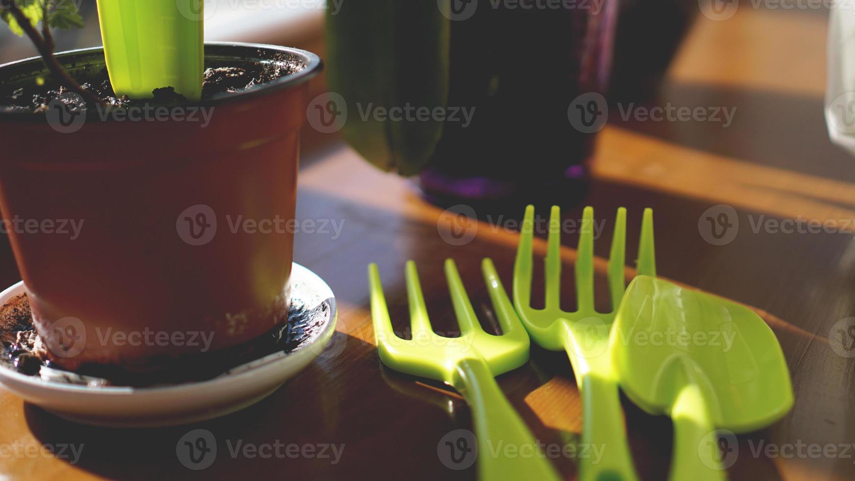 piantare un giardino fiorito. piante in vaso sul davanzale foto