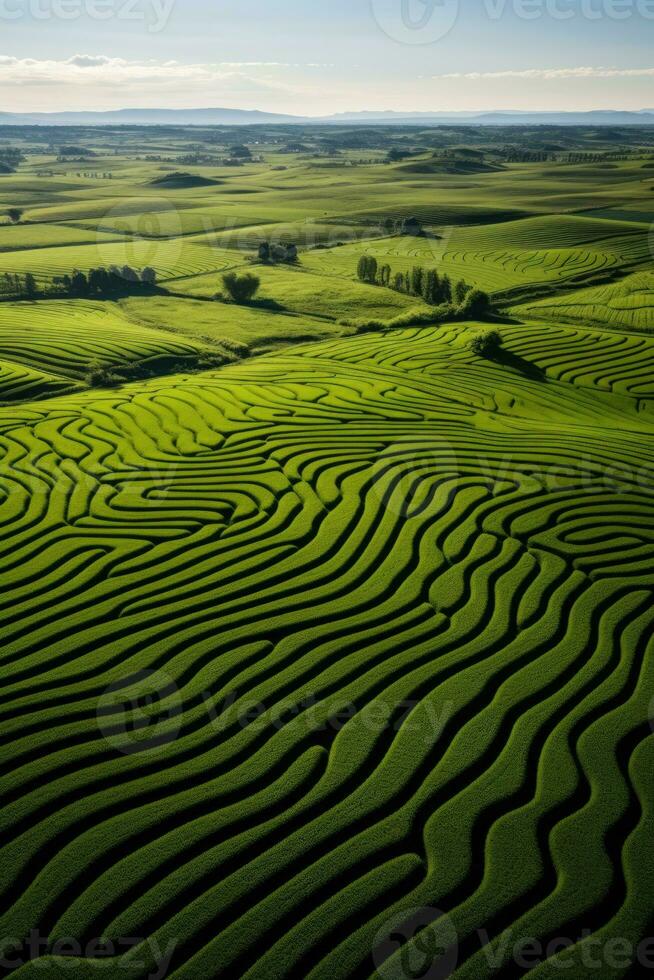 aereo Visualizza di intricato Ritaglia cerchi e modelli su lussureggiante terreni agricoli foto