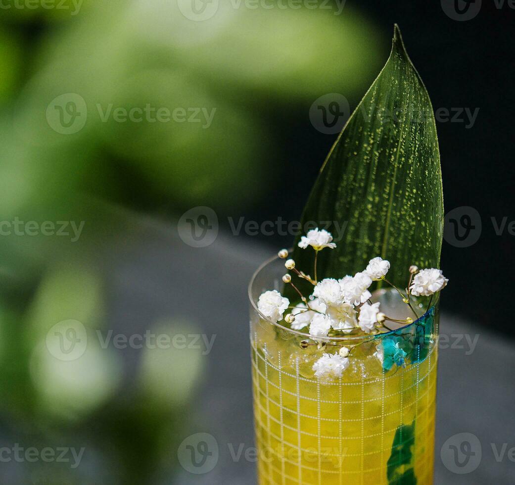 rinfrescante bevanda fatto a partire dal Sambuco fiori foto