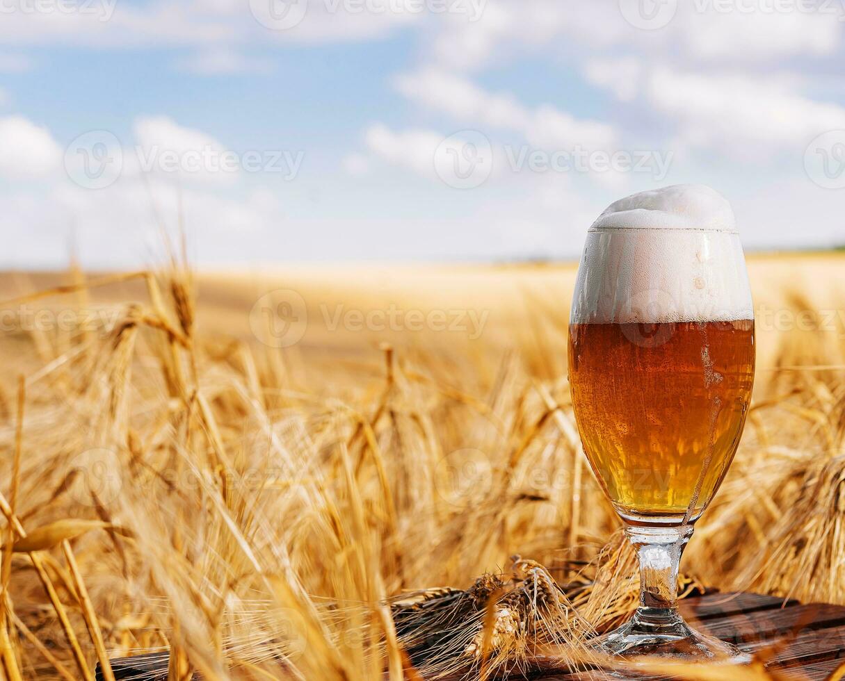 un' bicchiere di birra nel un' Grano campo foto