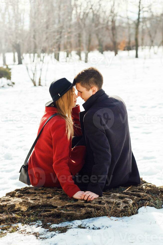 all'aperto inverno ritratto di alla moda contento giovane coppia nel amore seduta su log e abbracciare contro bianca parco sfondo . foto