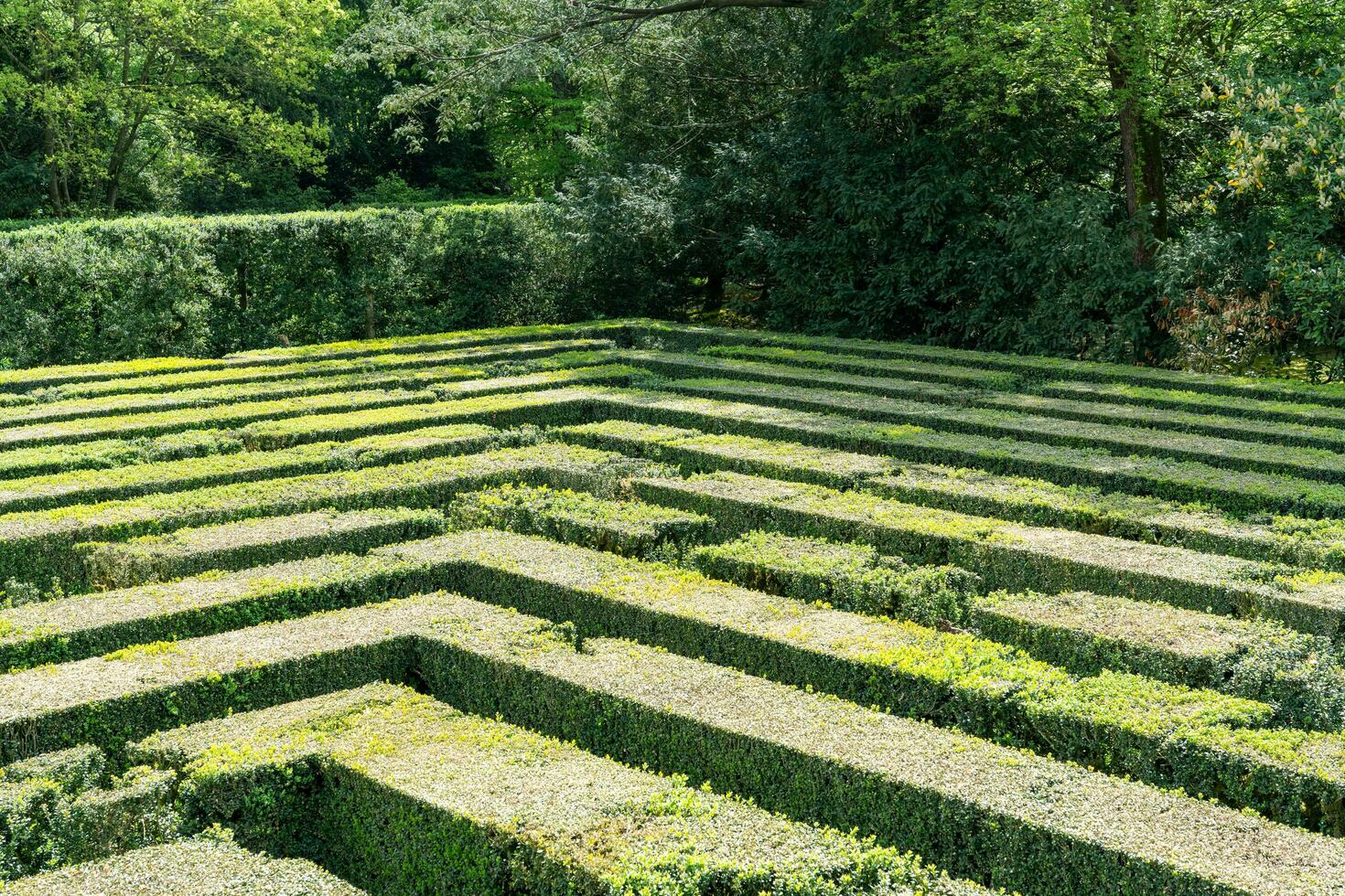 valsanzibio,italia-aprile 15, 2023-labirinto dentro il monumentale giardino di valsanzibio, uno di il maggior parte bellissimo giardini nel Italia durante un' soleggiato giorno foto