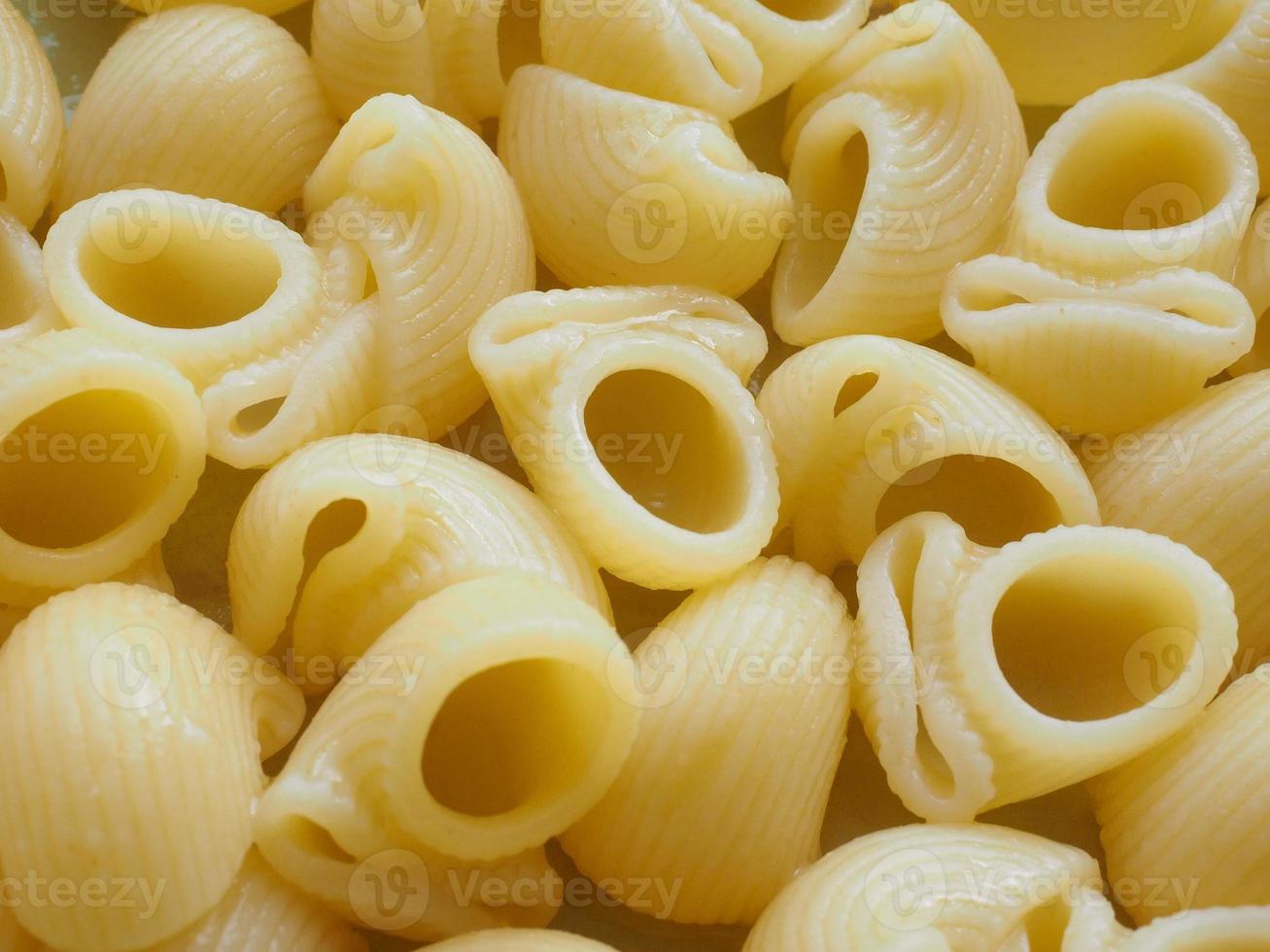 lumache cibo per la pasta foto