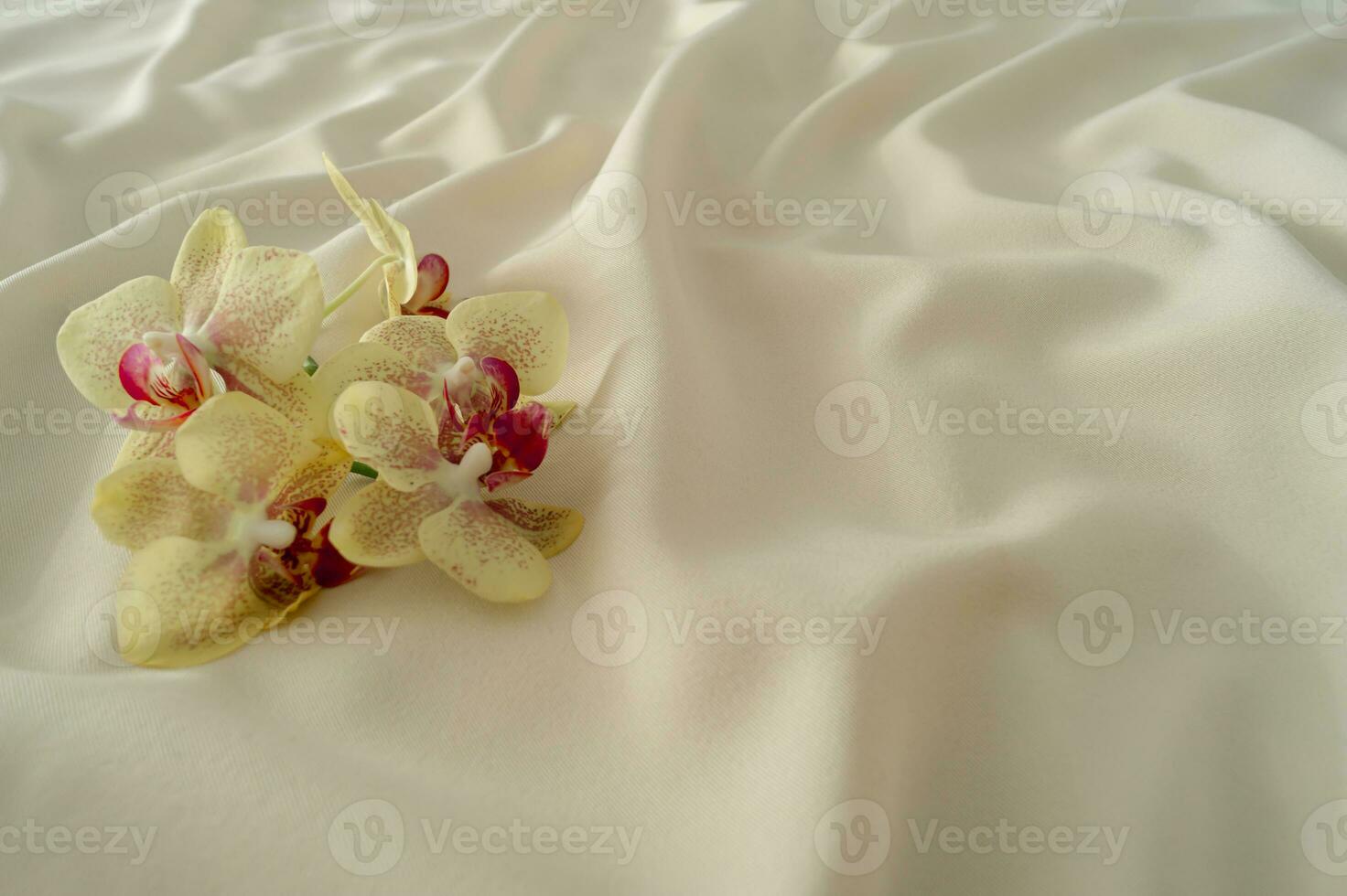 tropicale orchidee su liscio lusso seta. minimo sfondo concetto. natura estetico idea. foto
