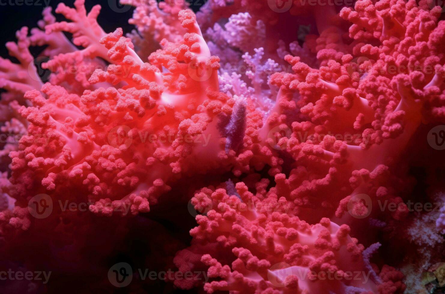 rosa corallo scogliera oceano natura avvicinamento. creare ai foto