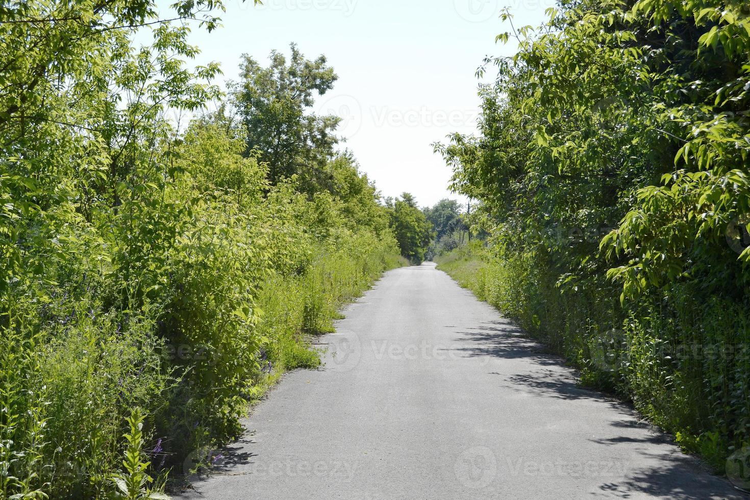 bella strada asfaltata vuota in campagna su sfondo colorato foto