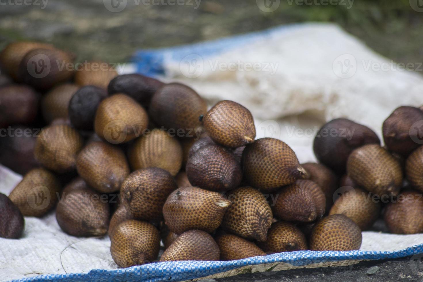 un mucchio di frutti di serpente sulla bancarella del venditore foto