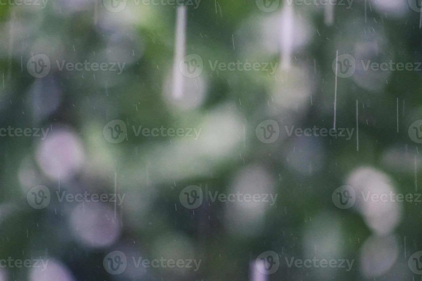 sfocato di fogliame sotto le gocce di pioggia d'acqua. foto