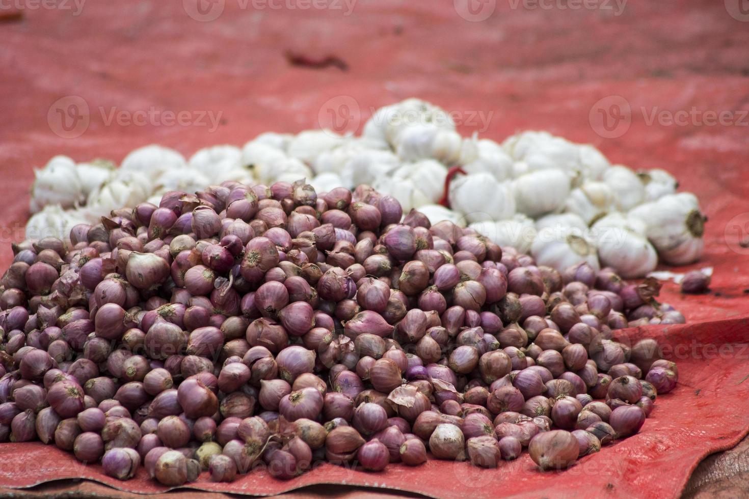 un mucchio di cipolle e aglio sulla bancarella del venditore foto