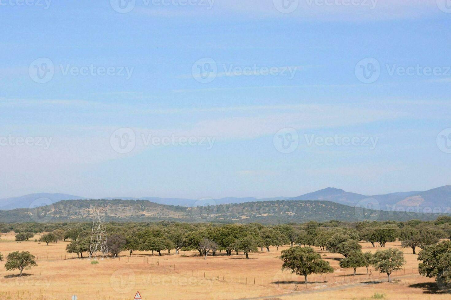 un' campo con alberi e un' blu cielo foto