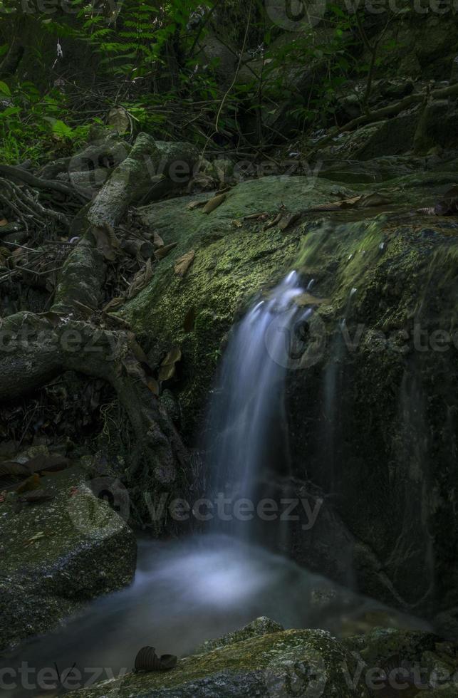 cascata della foresta pluviale tropicale lunga esplosione foto