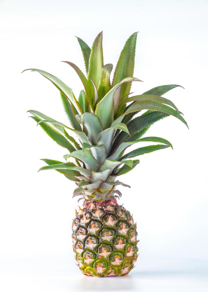 ananas frutta isolato su sfondo bianco foto