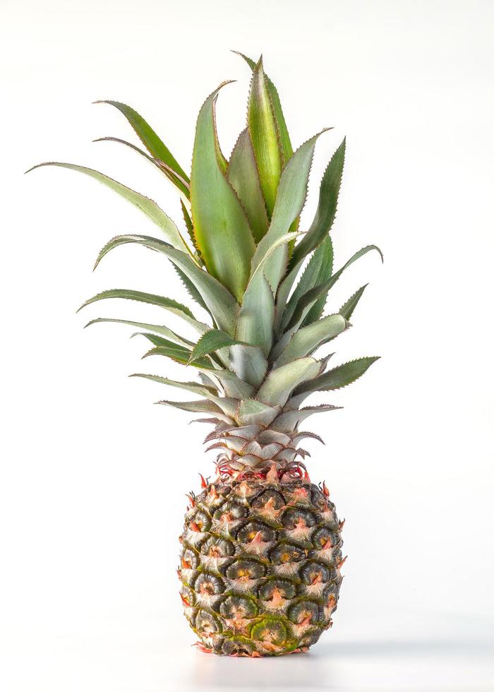 ananas frutta isolato su sfondo bianco foto