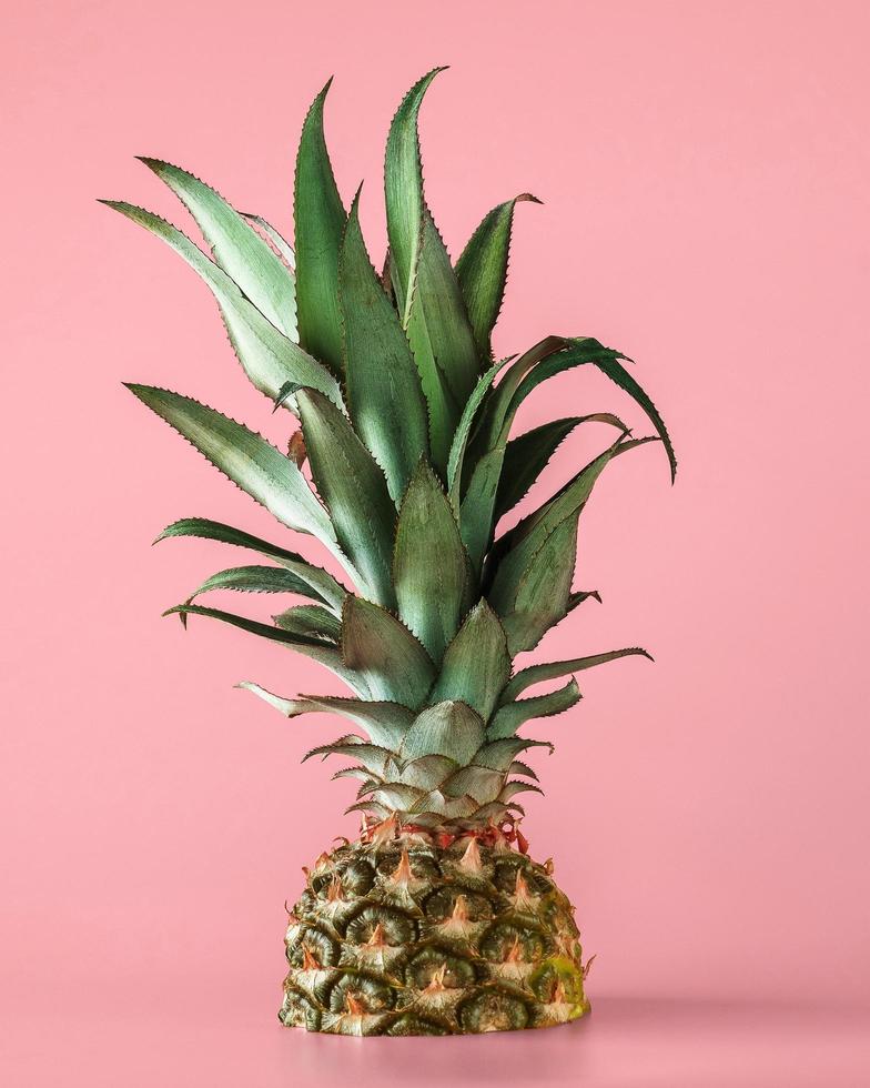 frutto di ananas isolato su sfondo rosa. foto