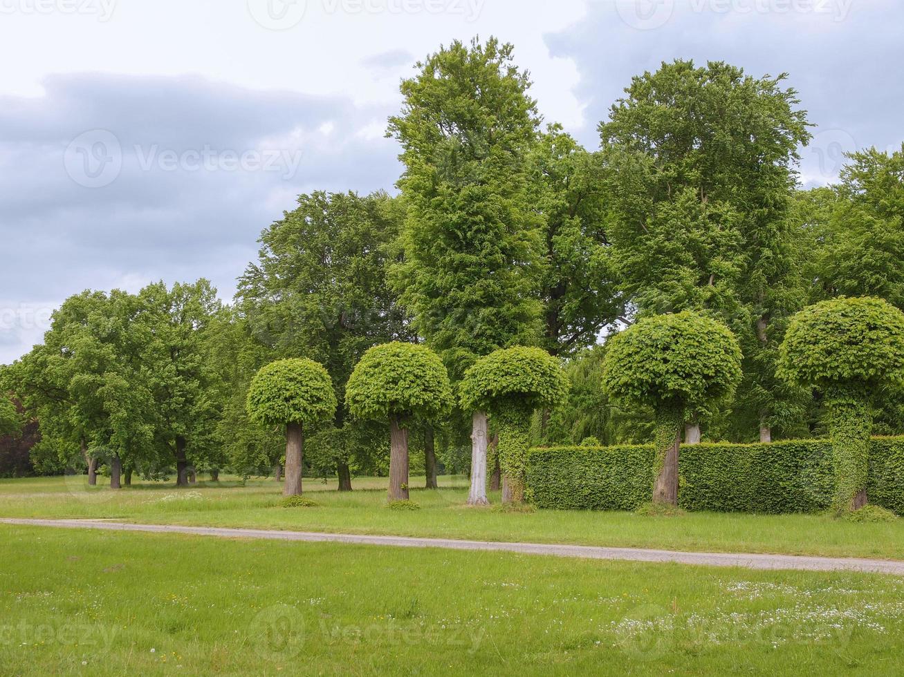 parco sanssouci a potsdam foto