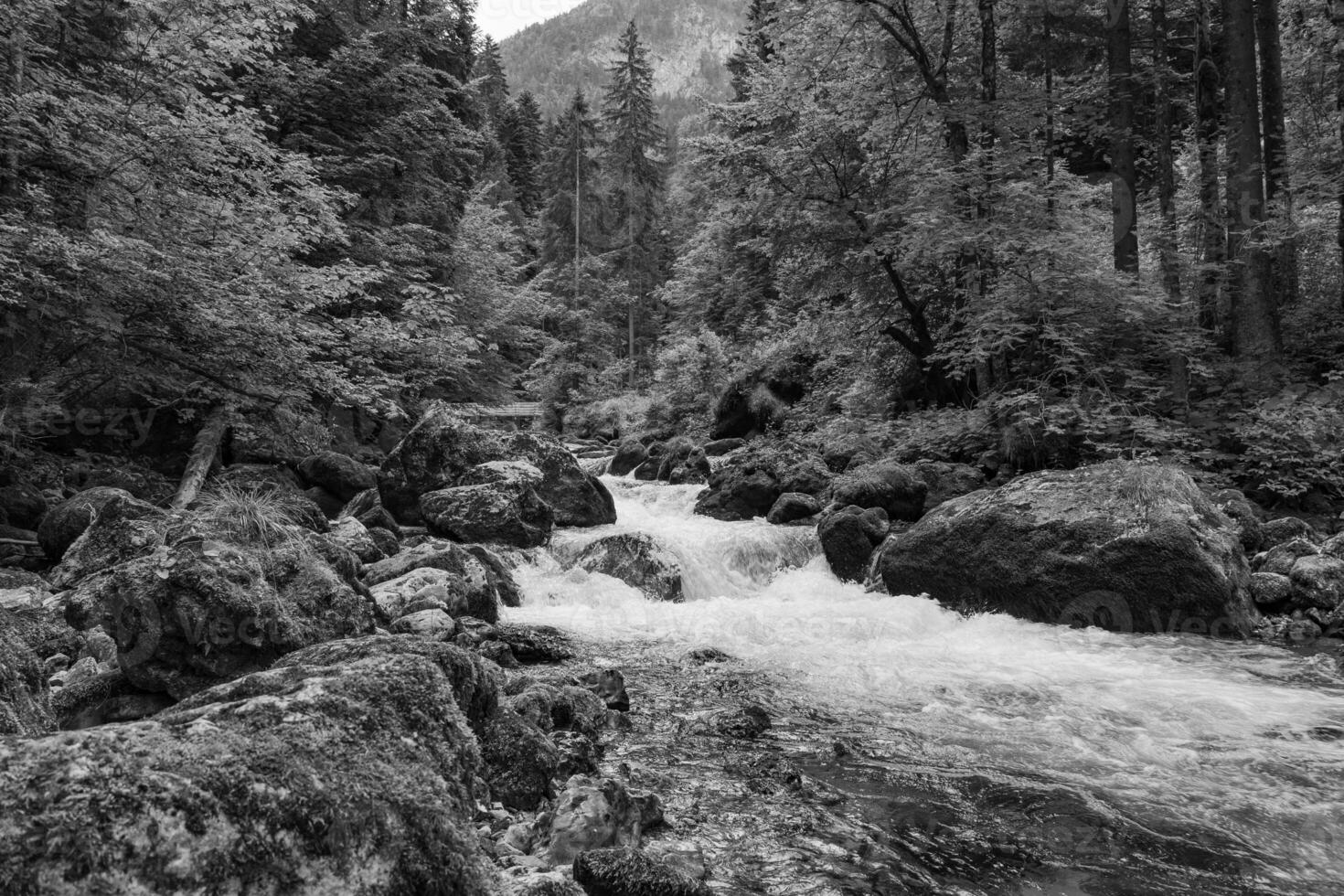 escursioni a piedi nesar gosau nel Austria foto