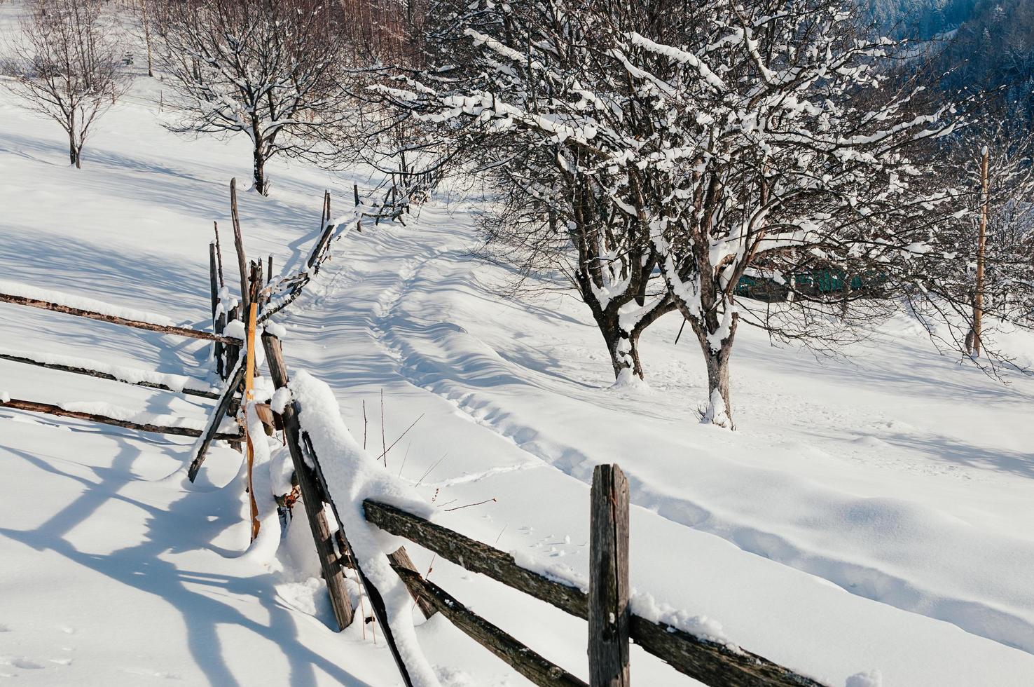 recinzione innevata campagna inverno paesaggio soleggiato foto