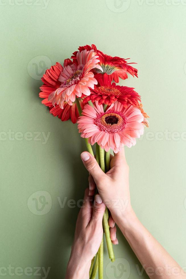 bouquet di margherite gerbera rosa e rosso su sfondo verde foto