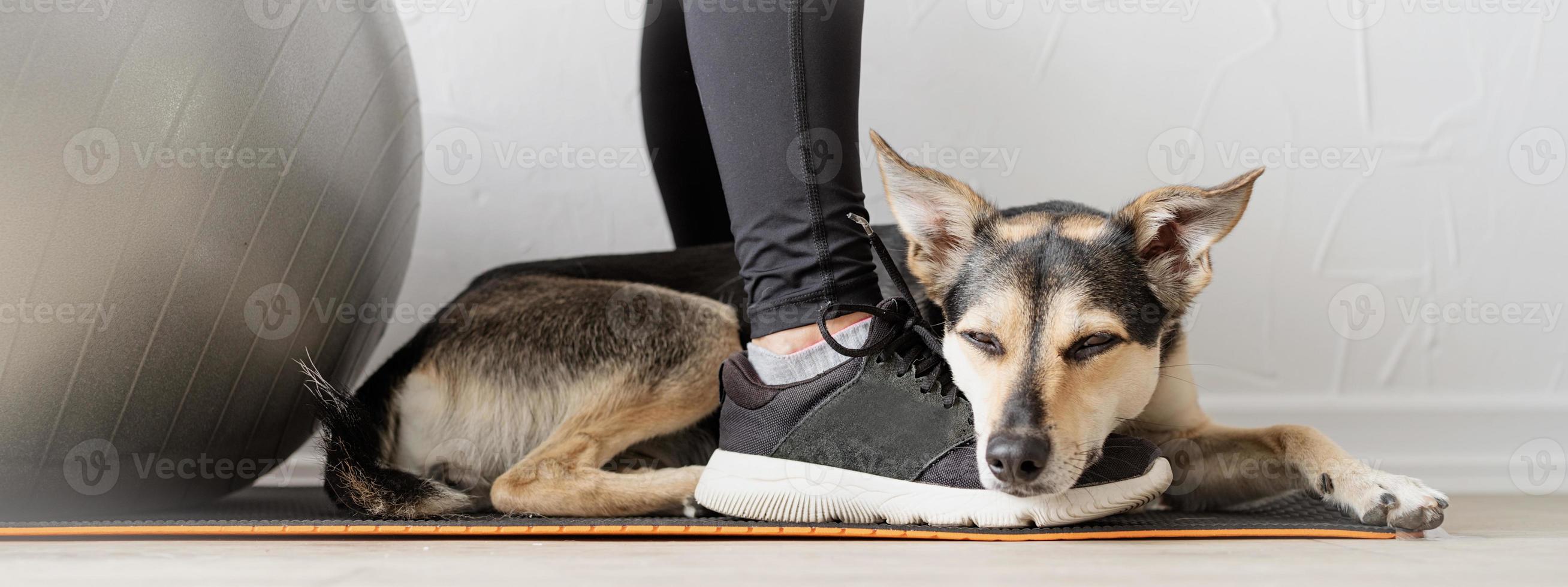 simpatico cane di razza mista sdraiato sui piedi della donna foto