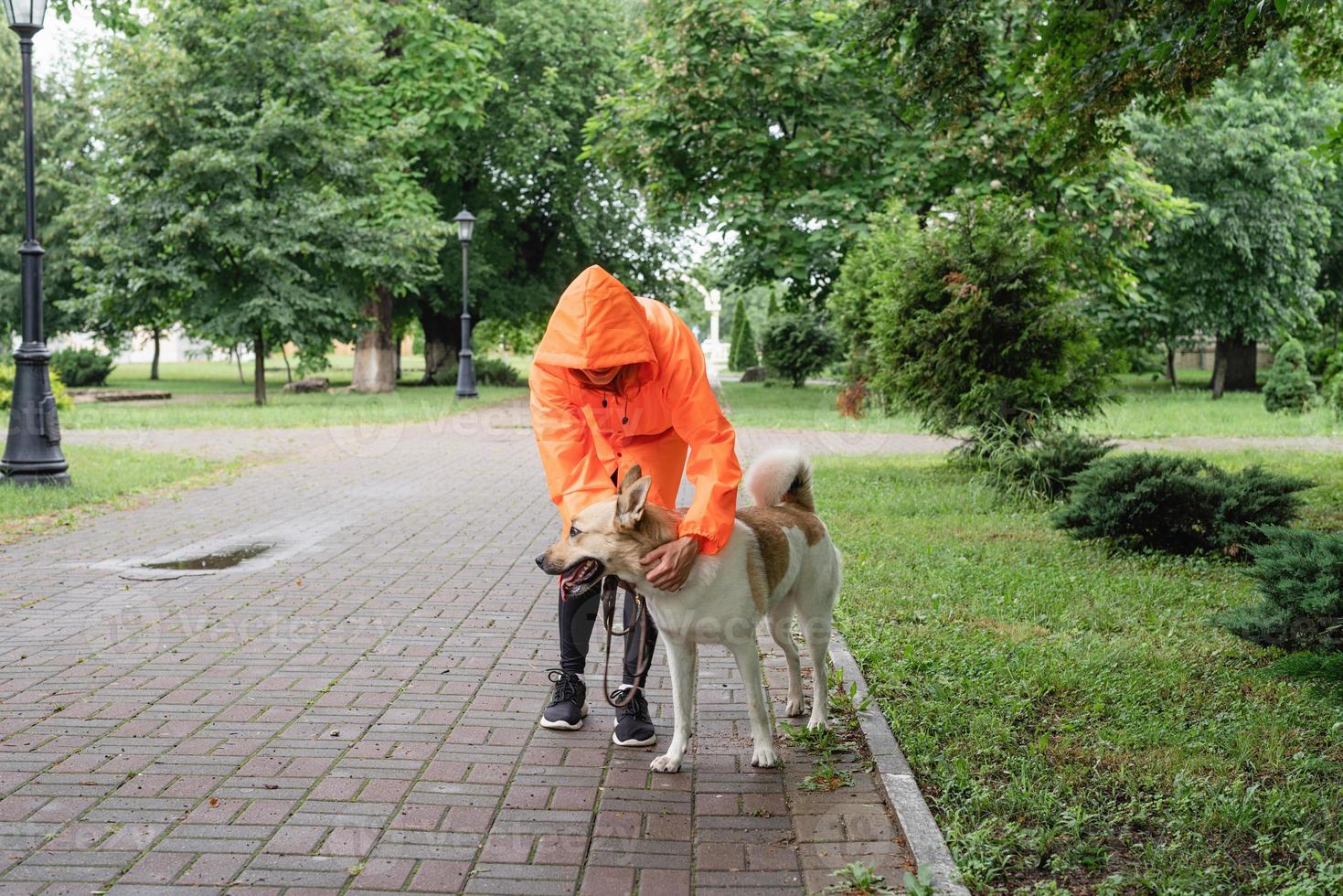 giovane donna in impermeabile arancione che cammina con il suo cane in un parco foto