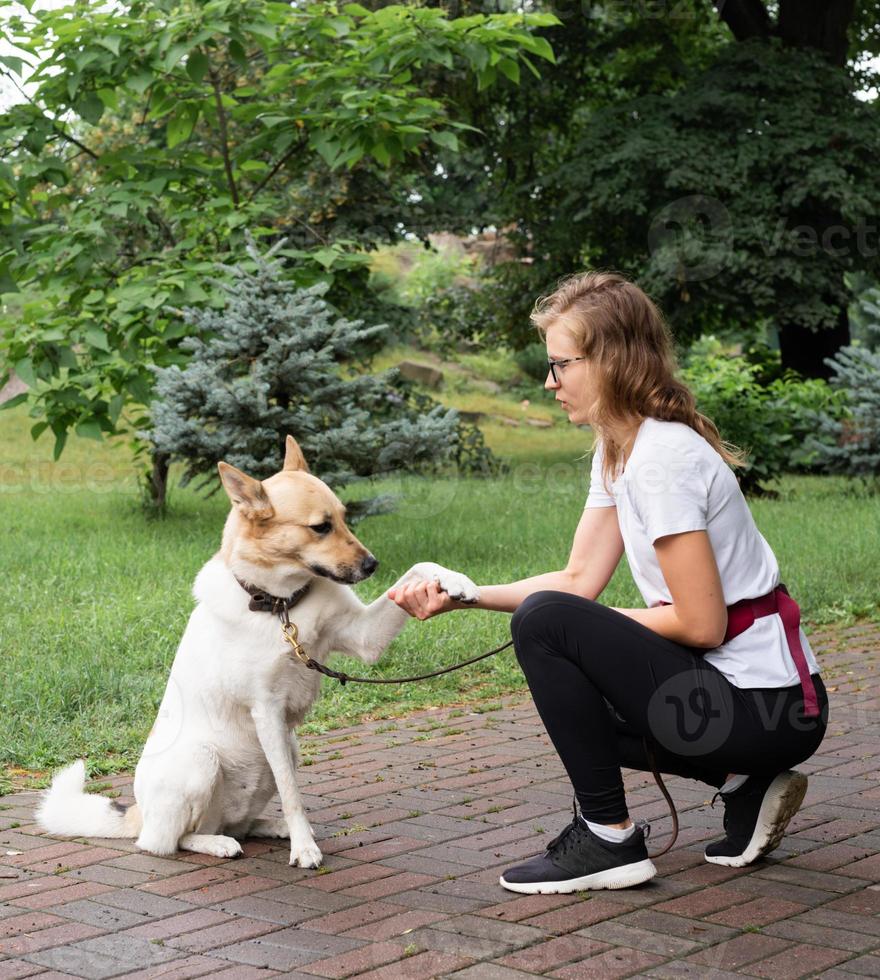 giovane donna che addestra il suo cane in un parco? foto