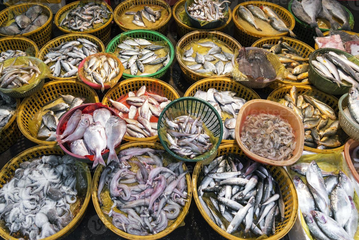 Esposizione della bancarella del mercato dei frutti di mare e del pesce fresco nella città di xiamen china foto