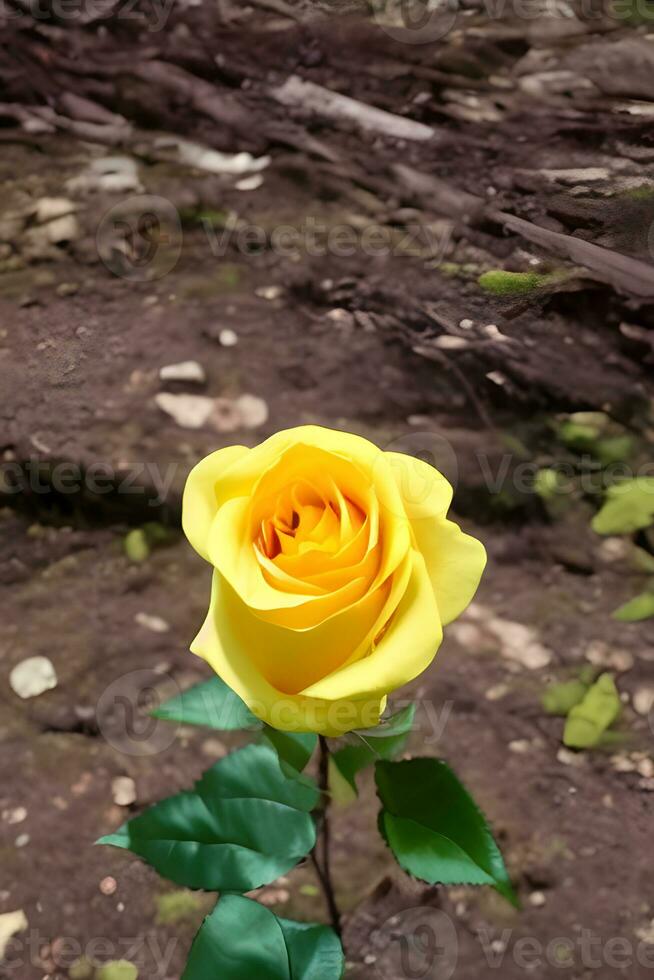 bellezza di giallo rosa. ai generato foto