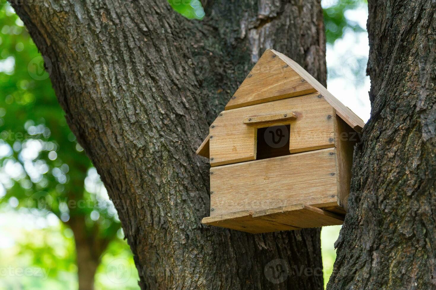 Casa di il uccelli nel il alberi. foto