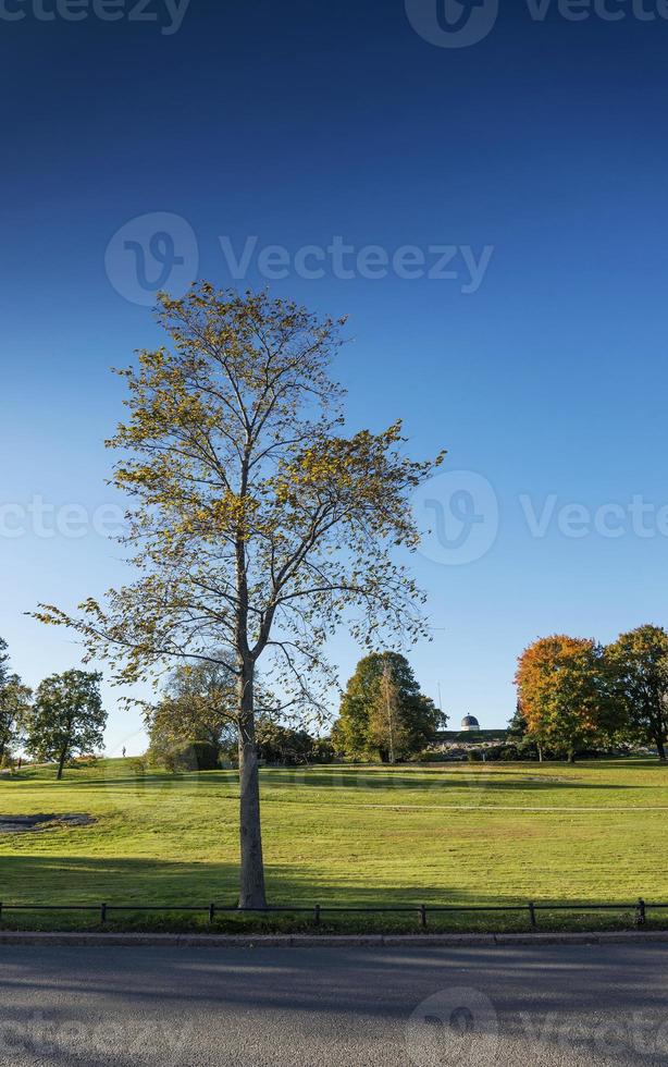 parco urbano della città di kaivopuisto a helsinki finlandia in giornata di sole foto