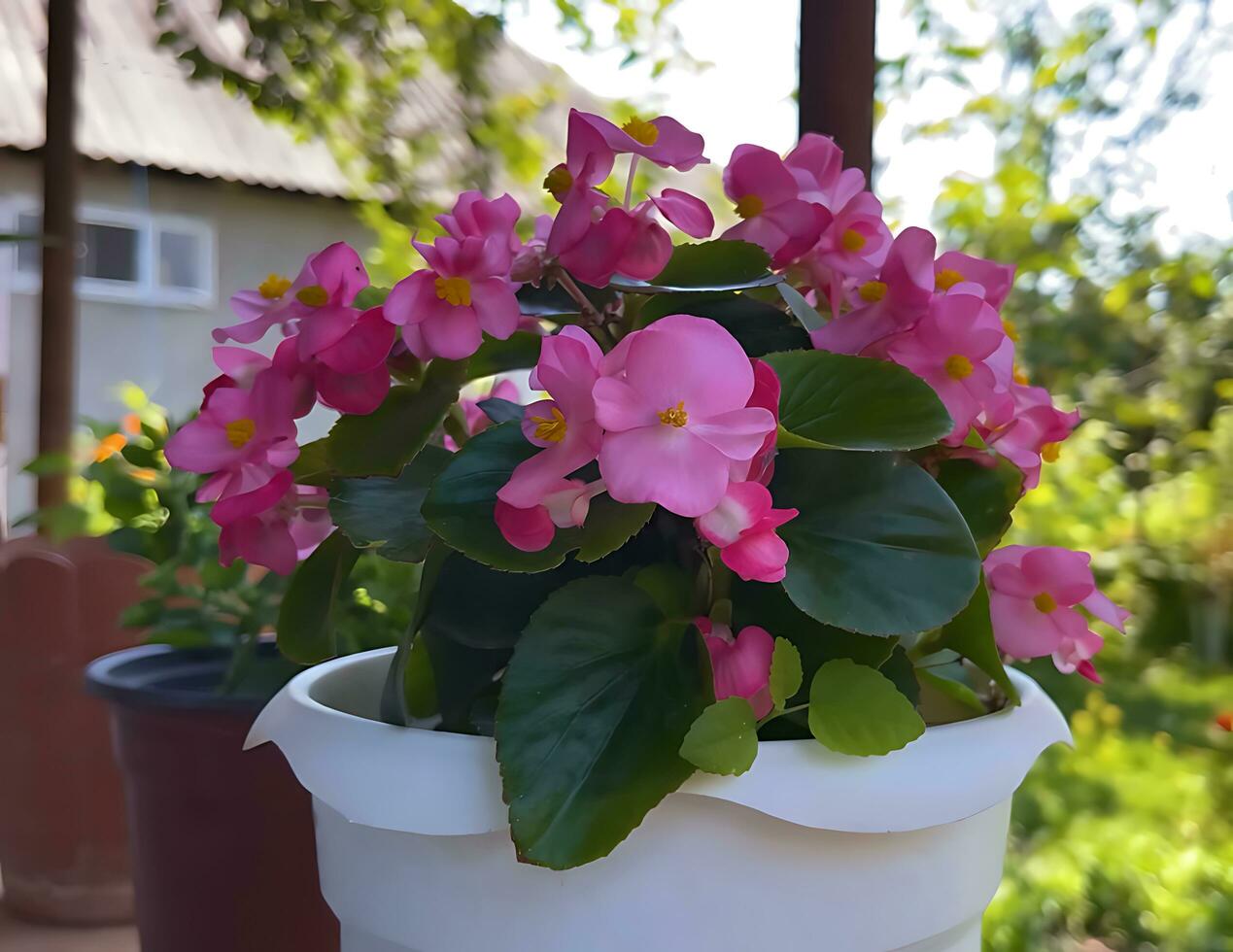 molti genere di giungla fiori, vario tipi di foresta pluviale fiori, Compreso heliconias e passione fiore. foto