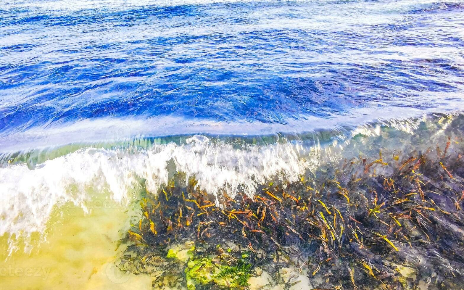 pietre rocce coralli turchese verde blu acqua su spiaggia Messico. foto