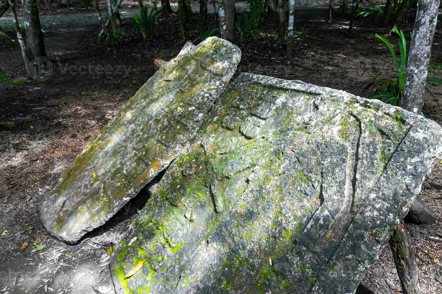 coba maya rovine antico edifici piramidi rilievi tropicale giungla Messico. foto