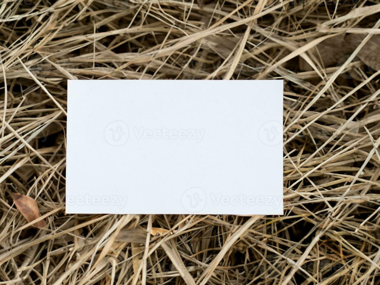 vuoto carta su il erba foto