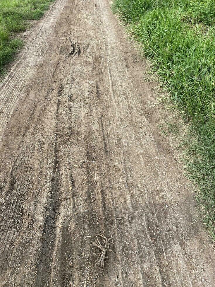 sporco sporco traccia nel il nazione strada. foto