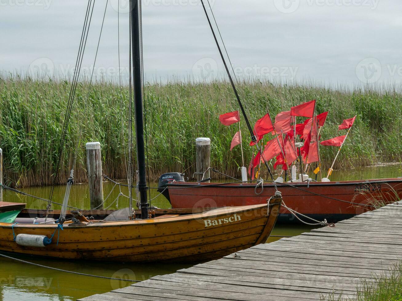 il isola di zingst nel Germania foto