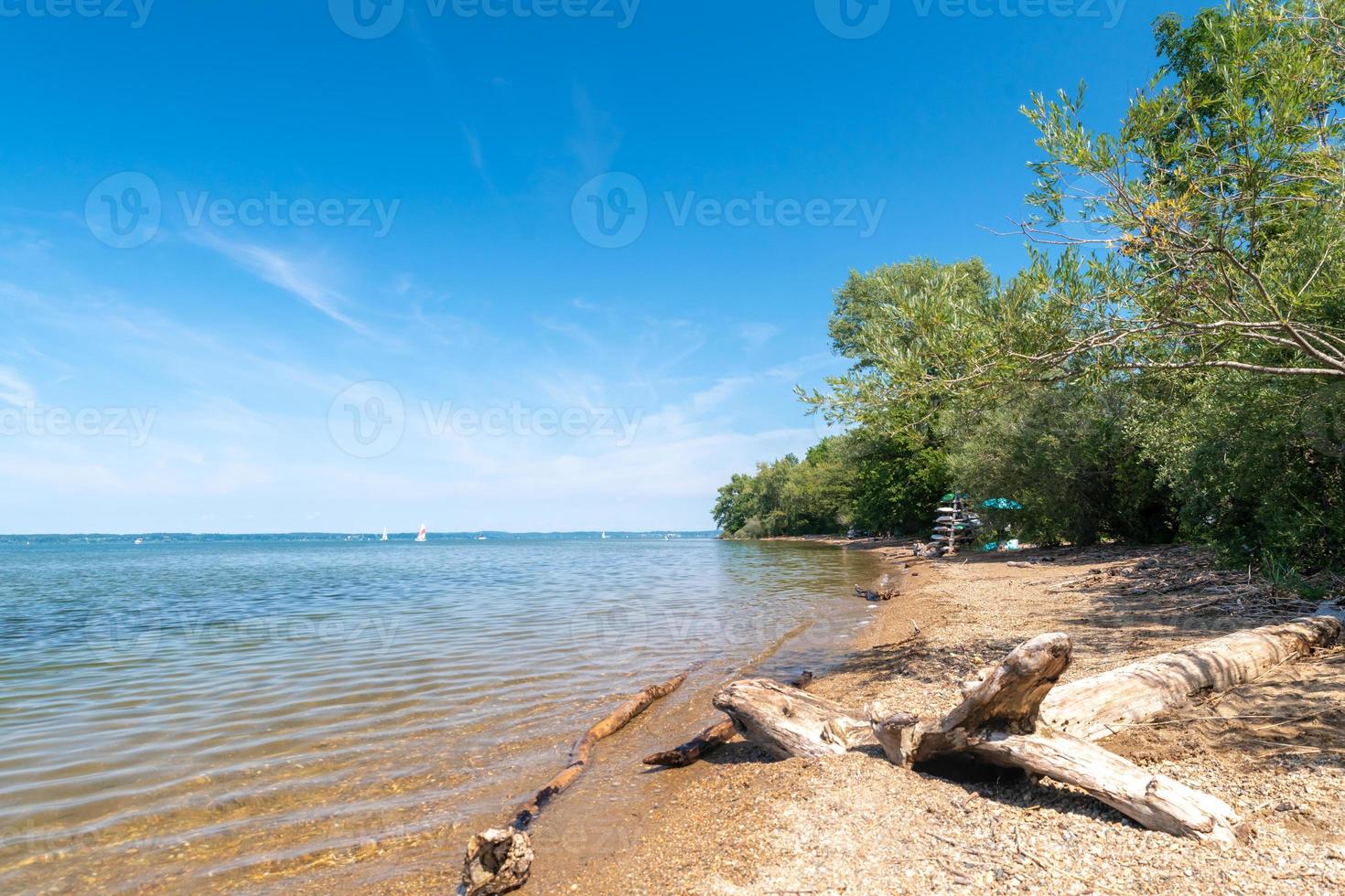 Il ceppo di albero marcio si trova sulle rive del chiemsee in Baviera foto