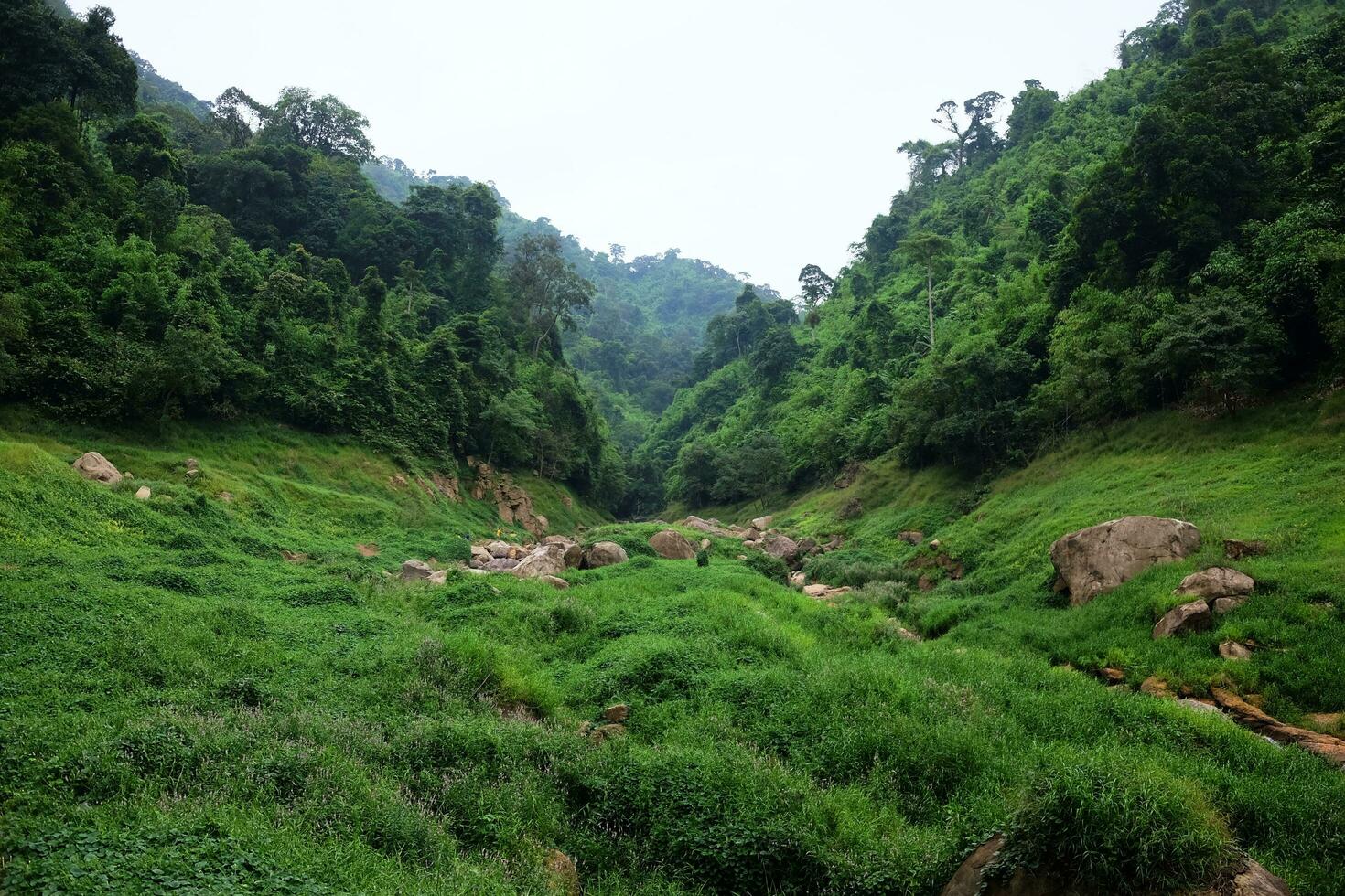 freschezza paesaggio per acqua autunno e ruscello fluente attraverso rocce nel tropicale pioggia foresta e verdura selvaggio giungla. khao chong lom a nakhonnayok Provincia, Tailandia foto