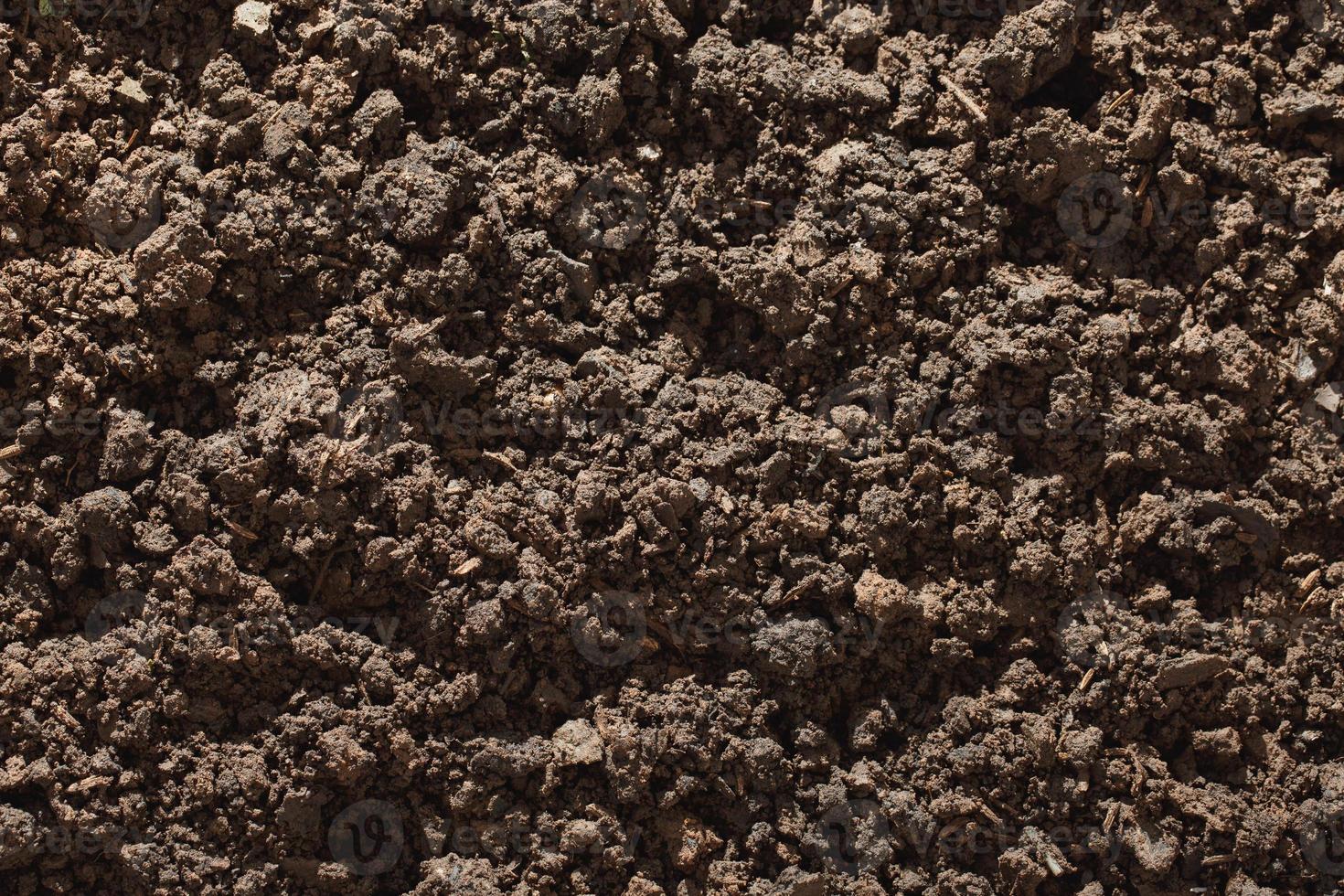 argilla umida per l'agricoltura foto