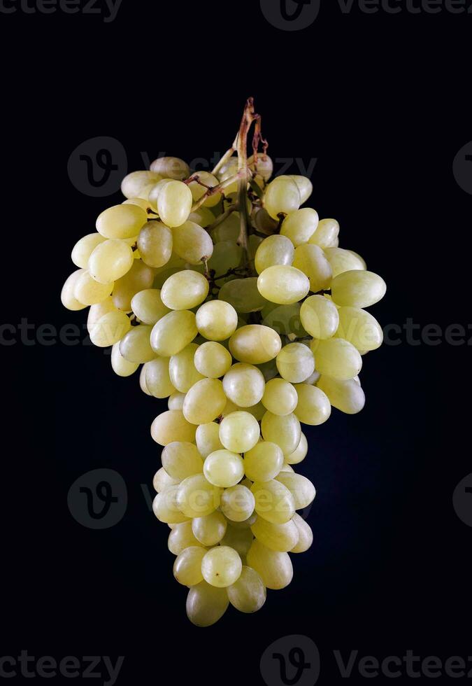 un' mazzo di verde uva su un' buio sfondo. foto