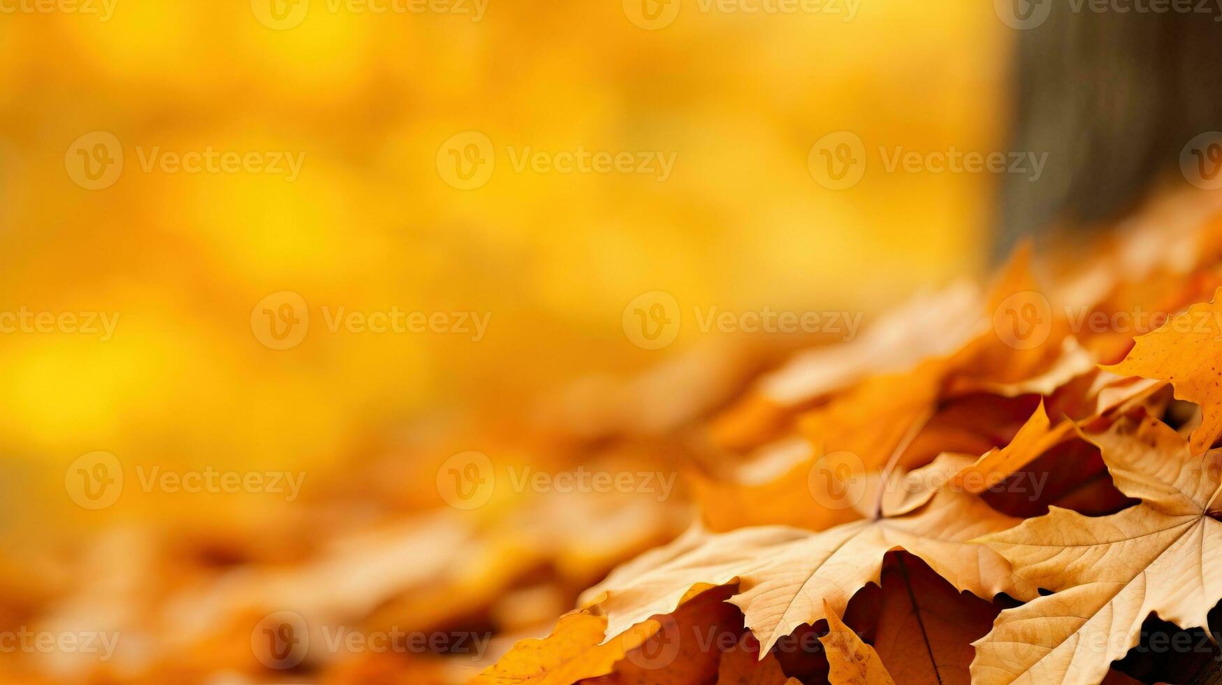 autunno sfondo con giallo acero le foglie. ai generato. foto