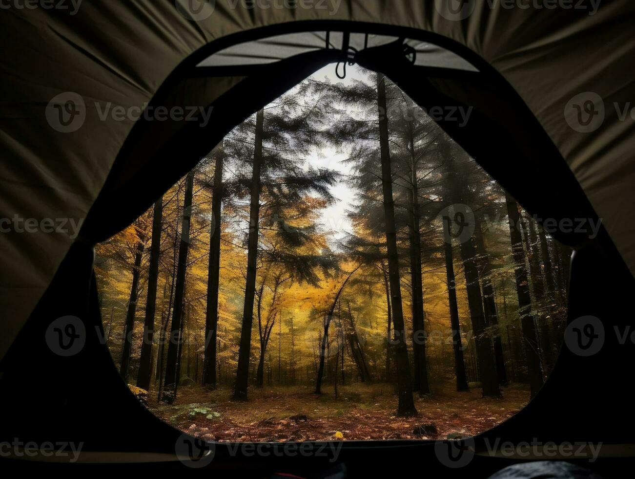 Visualizza attraverso un' tenda nel il foresta ai generativo foto