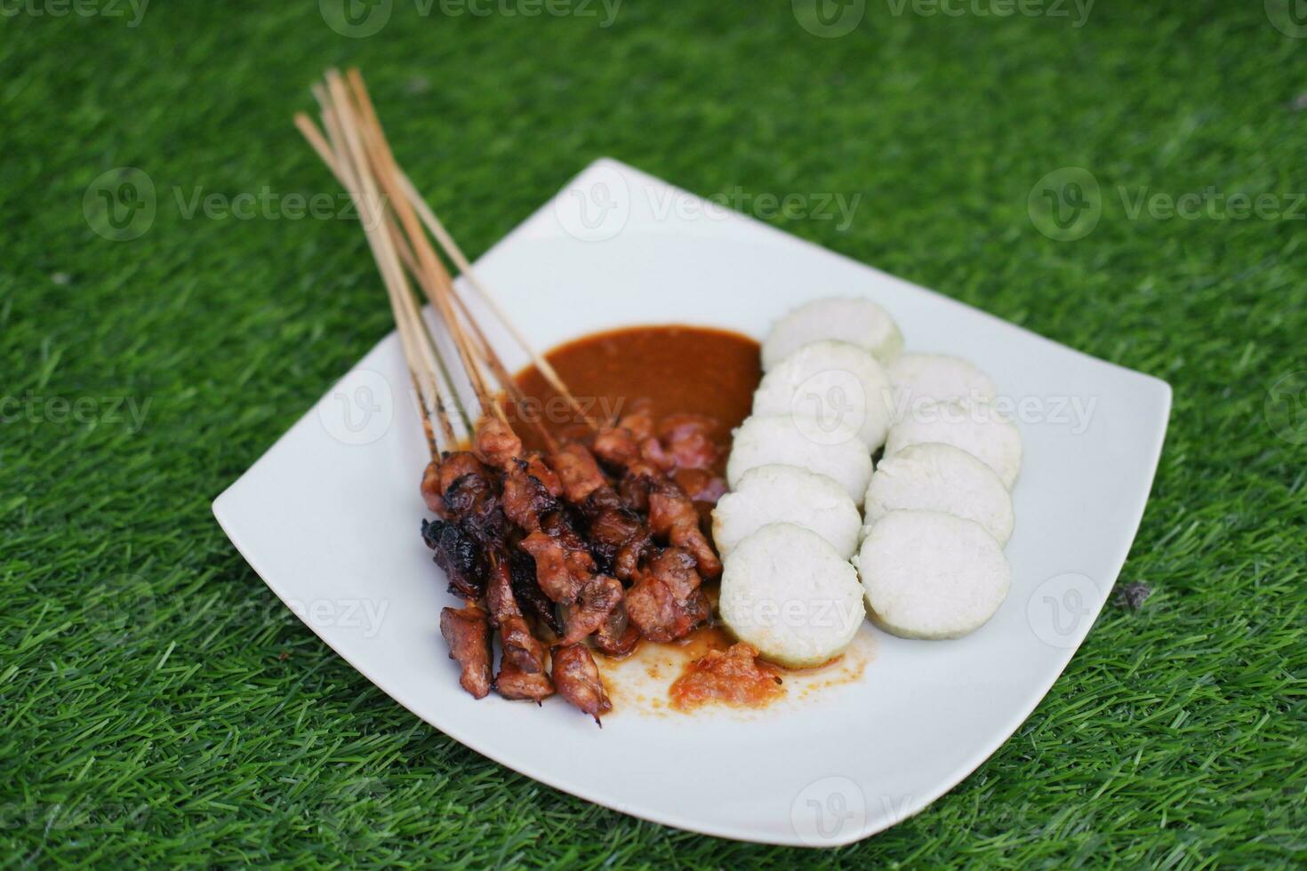 pollo satay su un' bianca piatto con arachide salsa foto