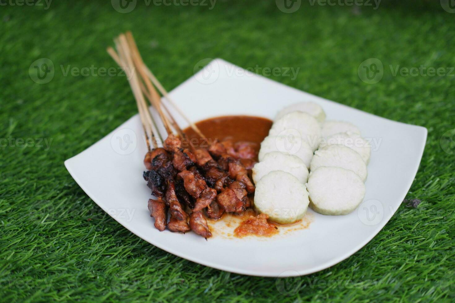 pollo satay su un' bianca piatto con arachide salsa foto